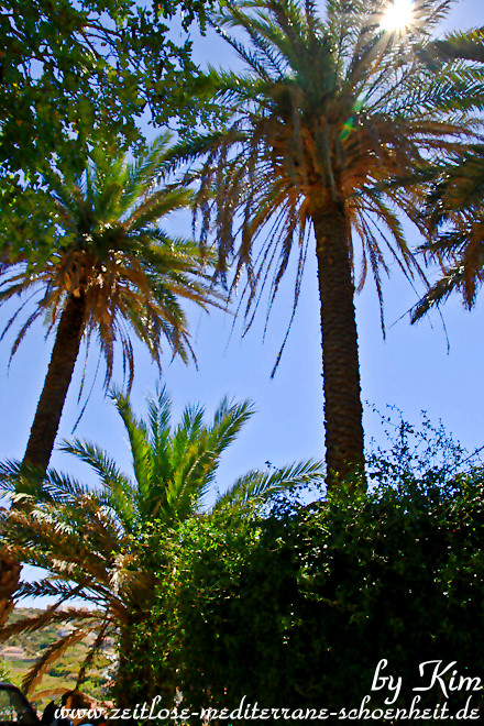 Impressionen der Stadt Hvar
