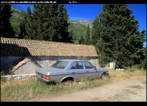 Südseite mit Mercedes 230 e