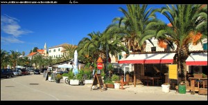 auf der Riva mit ihrer Palmenpracht und den schönen mediterranen Häusern