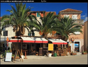 auf der Riva mit ihrer Palmenpracht und den schönen mediterranen Häusern