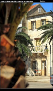 auf der Riva mit ihrer Palmenpracht und den schönen mediterranen Häusern