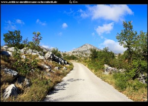 Straße nach Riđica