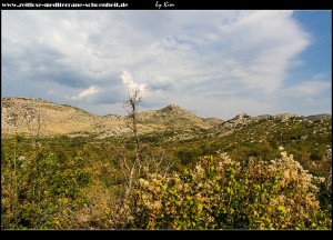 auf dem Weg nach Trnovica