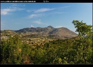 auf dem Weg nach Trnovica