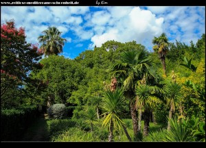 Im Südosten des Arboretums