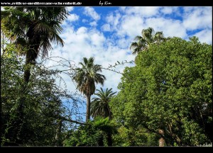 Im Südosten des Arboretums