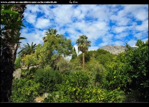 Im Südosten des Arboretums