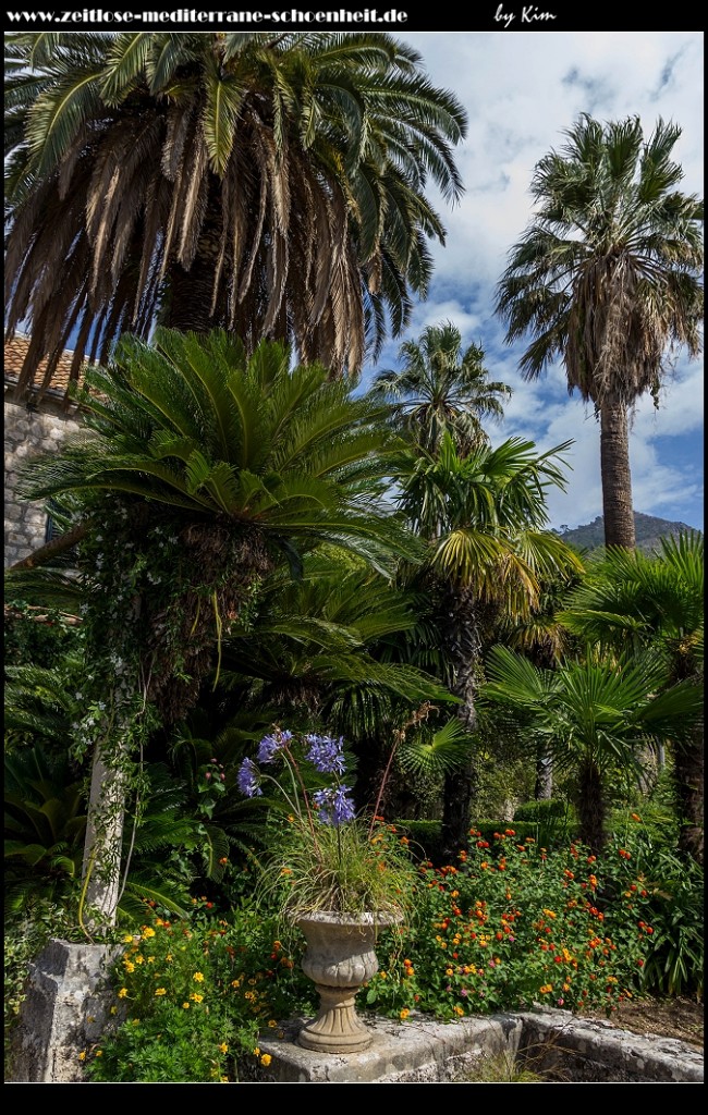 Reisebericht Trsteno Kroatien Kroatien Zeitlose mediterrane reisebericht-trsteno-kroatien-kroatien-zeitlose-mediterrane