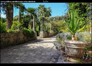 Rund um die Ferienresidenz der Familie Gučetić-Gozze