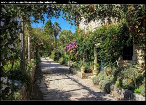 Rund um die Ferienresidenz der Familie Gučetić-Gozze