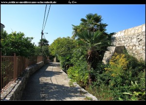 Über viele Stufen durch die Gasse runter zum Hafen