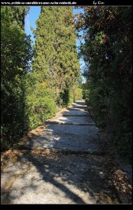 Über viele Stufen durch die Gasse runter zum Hafen