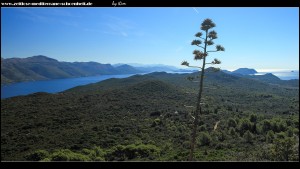 Blick über die Insel nach Südosten