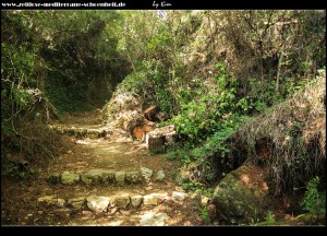 Vorsicht Stolperfallen - Weg durch den Wald von Šunj nach Lopud