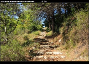 Vorsicht Stolperfallen - Weg durch den Wald von Šunj nach Lopud