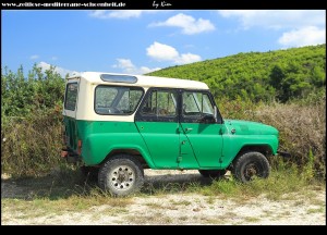 alter Jeep