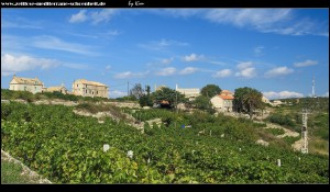 Impressionen aus Polje