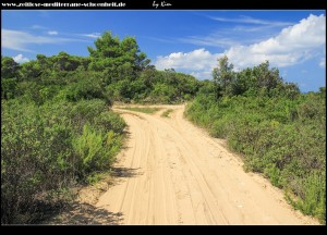 über die unbefestigte Straße über die Insel in Richtung Norden