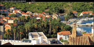 Stadtteil Luka mit Hafen und großem Palmenpark