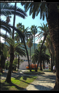 Der Palmenpark