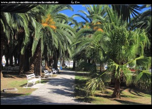 Der Palmenpark