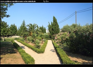 an der Grundschule mit botanischem Garten