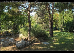 an der Grundschule mit botanischem Garten