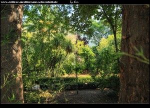 an der Grundschule mit botanischem Garten