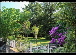 an der Grundschule mit botanischem Garten