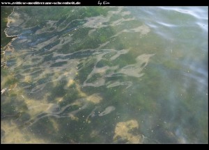 schlechte Wasserqualität in Gomilica - ein seltener Fall in Kroatien