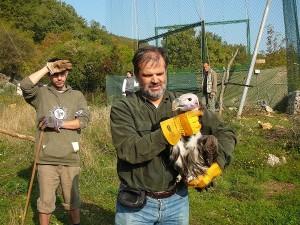 Professor Goran Sušić bei der Arbeit