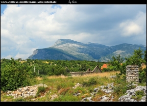 Blick auf den Dinara