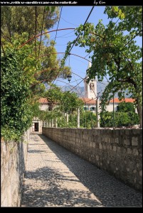 Im Klostergarten