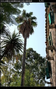 Im Klostergarten
