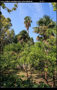 Im Klostergarten
