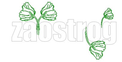 Zaostrogbanner