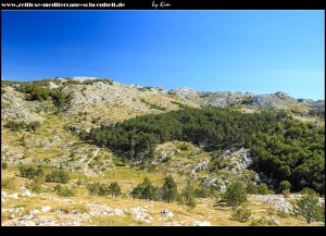 Wanderung hoch zum Vošac