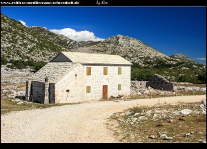 Pferde und die verlassene Ranch Podglogovik