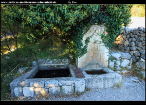 im Garten