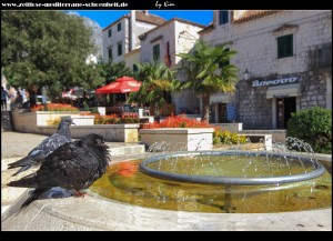 am Kačićev-Trg mit Springbrunnen und Tauben die sich erfrischen