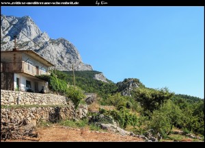 Impressionen aus Bast
